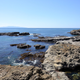 Illustration for article titled Pics from the (Ocean Floor): 2018-05-05 at Botanical Beach